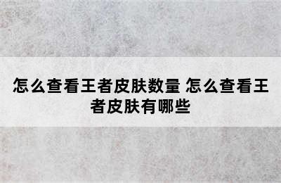 怎么查看王者皮肤数量 怎么查看王者皮肤有哪些